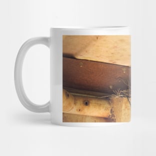 ibs wren nesting Mug